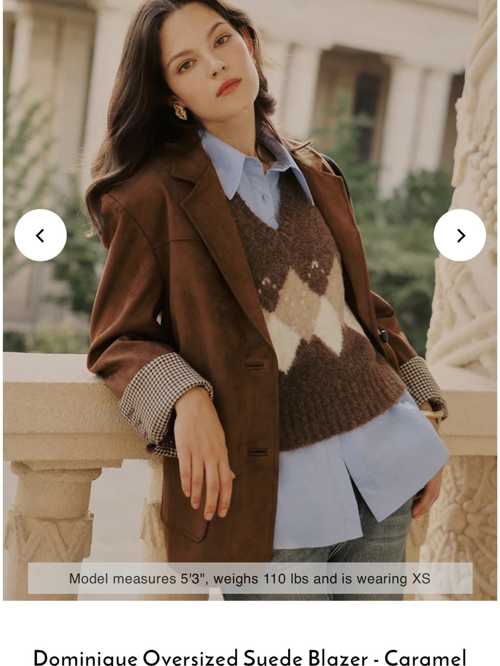Petite Studio Brown Suede Oversized Blazer